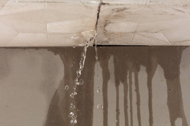 Professional Sewage Cleanup technician working in Savannah, GA